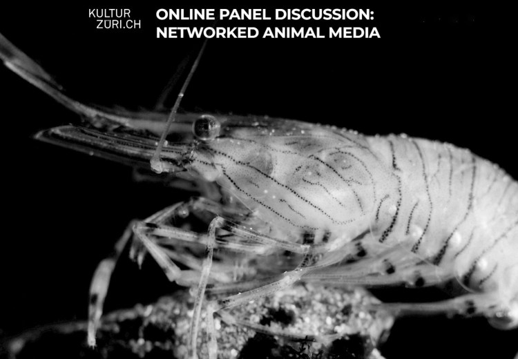 Web capture_19-6-2023_15130_xn--kulturzri-w9a.ch